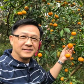 leiyang - date a Japanese, 100% free leiyang