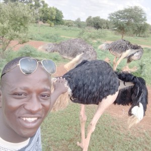 Parfait - date a Japanese, 100% free Parfait